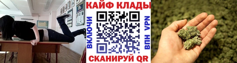 Купить Гвардейск Альфа ПВП  ГАШ 