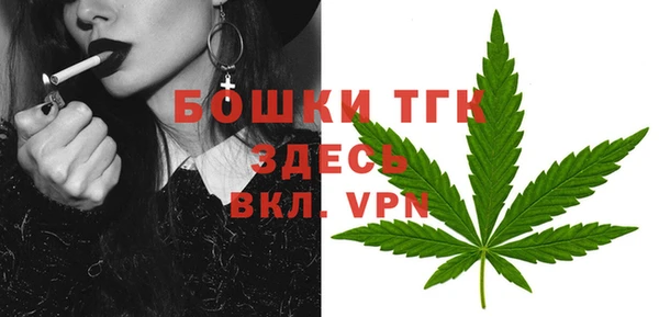 дурь Горно-Алтайск