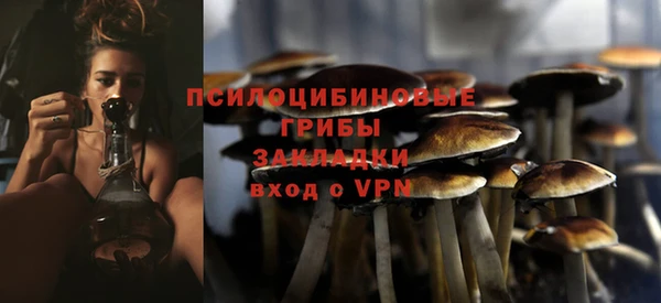 spice Горняк