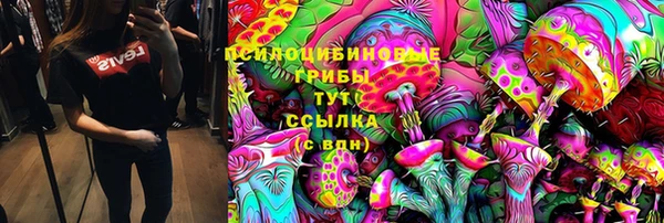 spice Горняк
