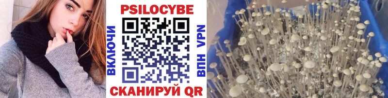 Псилоцибиновые грибы ЛСД  Гвардейск 